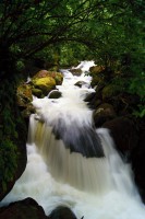 /album/fotogalerie-waikato/wairere-falls-walk-3-jpg/